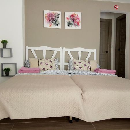 Mini-Apartment Donna Rosa D'Alvadorez 阿利坎特 外观 照片